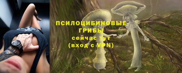 хмурый Алзамай